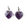 Faceted Transparent Glass Charms GLAA-T024-04-3