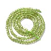 Natural Peridot Beads Strands G-D467-A11-2