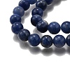 Natural Sodalite Beads Strands G-E110-8mm-3-4
