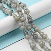 Natural Labradorite Beads Strands G-C039-A01-2