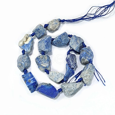 Natural Lapis Lazuli Beads Strands G-G697-E09-01-1