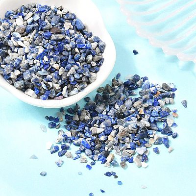 Natural Lapis Lazuli Chip Beads G-O103-21-1