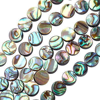 Natural Abalone Shell/Paua Shell Beads SSHEL-BC0001-09-1
