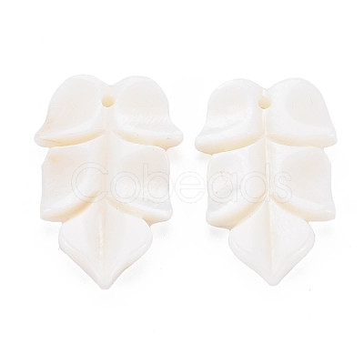 Natural Freshwater Shell Beads SHEL-S276-156-1