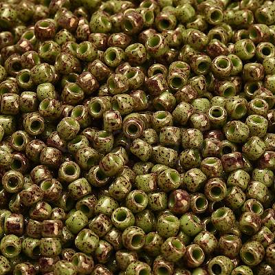 TOHO 6/0 Round Beads X-SEED-TR06-1209-1