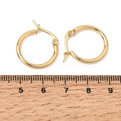 201 Stainless Steel Hoop Earrings SA-CBA4A0D-16G-D-1