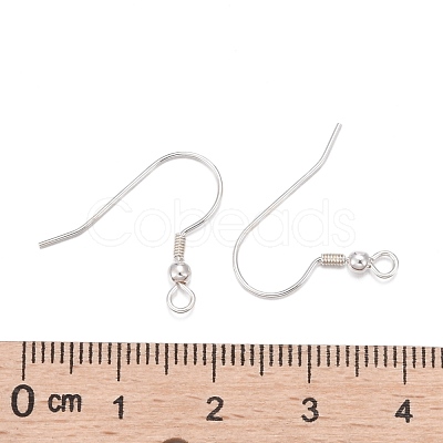 925 Sterling Silver Earring Hooks STER-K167-052S-1