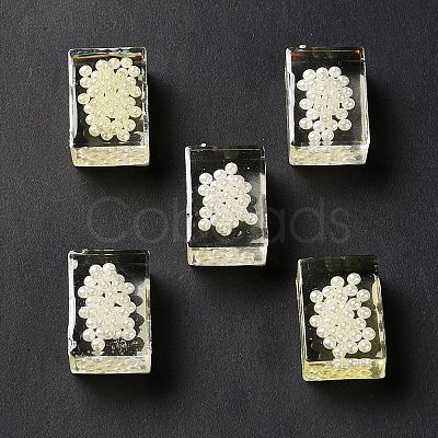 Transparent Acrylic Beads TACR-XCP0001-13-1