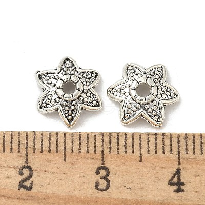 Tibetan Style Alloy Beads TIBE-P003-63AS-1