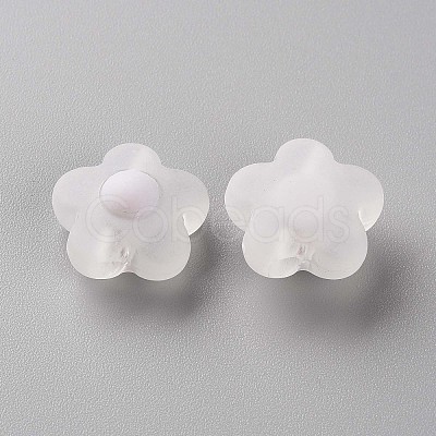 Transparent Acrylic Beads LS-TACR-S152-09C-06-1