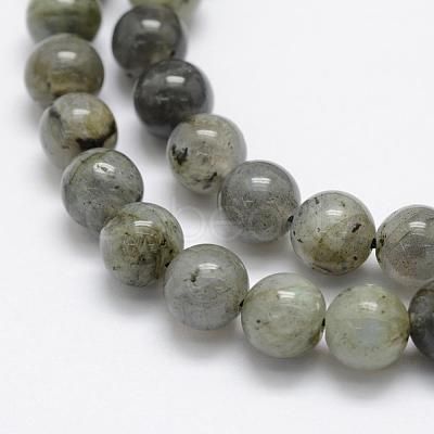 Natural Labradorite Beads Strands G-P322-29-8mm-1