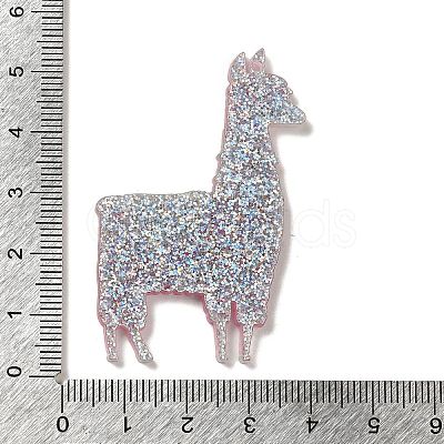 Acrylic Pendants OACR-R270-01B-1