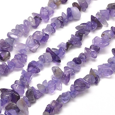 Natural Amethyst Chip Bead Strands X-G-M205-04-1