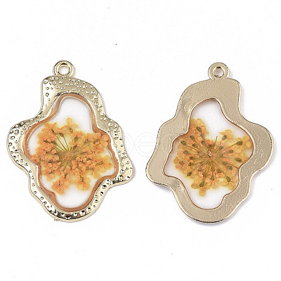 Epoxy Resin Pendants LS-X-RESI-T045-028E-1
