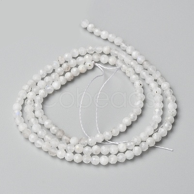 Natural Rainbow Moonstone Beads Strands X-G-O186-D02-01-1