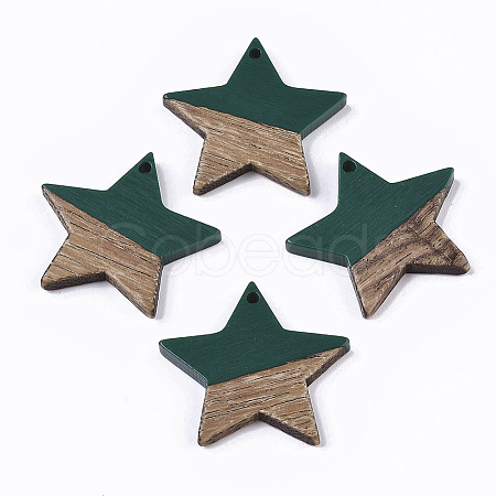 Resin & Wood Pendants LS-X-RESI-T023-23E-1