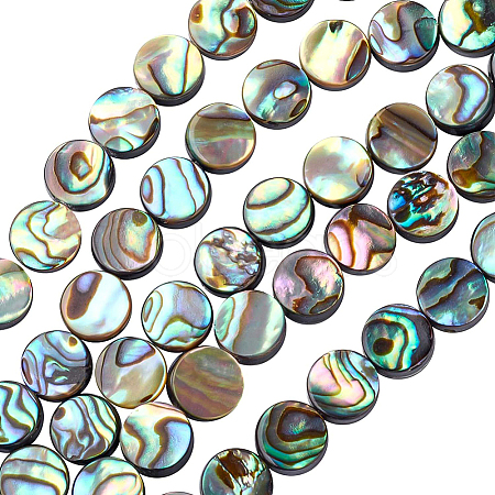 Natural Abalone Shell/Paua Shell Beads SSHEL-BC0001-09-1