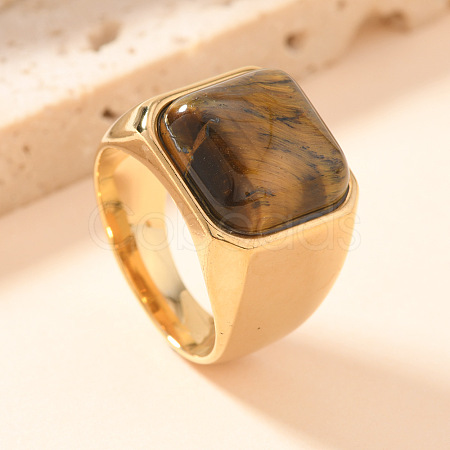304 Stainless Steel and Natural Tiger Eye Finger Rings FS-WGCBD79-24-1