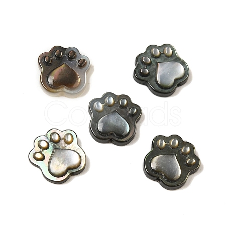 Natural Black Lip Shell Cat Paw Print Beads SHEL-M021-04-1