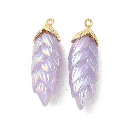 Rainbow Iridescent Plating Resin Pendants RESI-C047-03E-G-1