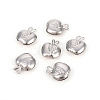 Non-Tarnish 304 Stainless Steel Charms STAS-L244-12P-1