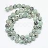 Natural Sesame Jasper/Kiwi Jasper Bead Strands G-R345-10mm-28-2