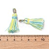 Polyester Tassel Pendants FIND-D302-01G-3