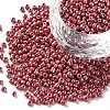(Repacking Service Available) Glass Seed Beads SEED-C021-2mm-125-1