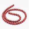 Natural Red Jasper Bead Strands G-K153-B19-10mm-2