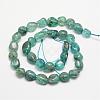 Natural Apatite Bead Strands G-L459-13-2