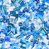 FGB Glass Seed Beads SEED-S056-003-3