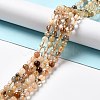Natural Rutilated Quartz Beads Strands G-B029-B02-02-4