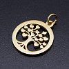 304 Stainless Steel Pendants STAS-T046-JA350-2-2