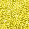 FGB Transparent Glass Seed Beads SEED-N013-01C-03-4