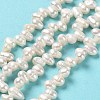 Natural Cultured Freshwater Pearl Beads Strands PEAR-J007-67-2