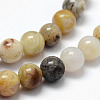 Natural Bamboo Leaf Agate Beads Strands G-F364-02-6mm-3