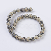 Natural Dalmation Jasper Beads Strands X-G-G515-6mm-06-2