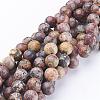 Natural Red Leopard Skin Jasper Beads Strands GSR10mmC066-1