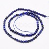 Natural Lapis Lazuli Beads Strands G-G545-18-2