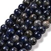 Natural Sodalite Beads Strands G-D481-12C-1