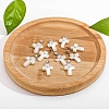 Natural White Shell Pendants PW-WG99836-01-3