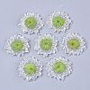 Transparent Clear Epoxy Resin Cabochons LS-CRES-N025-02C-1