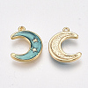 Brass Enamel Charms KK-T038-531G-2