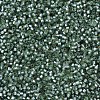 MIYUKI Delica Beads SEED-MY11-DB0689-3