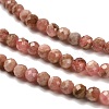 Natural Argentina Rhodonite Beads Strands G-B107-A04-04-4