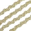 Metallic Polyester Ribbon OCOR-WH0065-07A-1