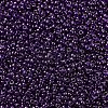 MIYUKI Round Rocailles Beads SEED-JP0008-RR0308-3