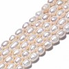 Natural Cultured Freshwater Pearl Beads Strands X-PEAR-N012-07B-2