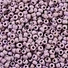 TOHO Round Seed Beads SEED-XTR11-0412F-1