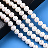 Natural Cultured Freshwater Pearl Beads Strands PEAR-N016-09B-2